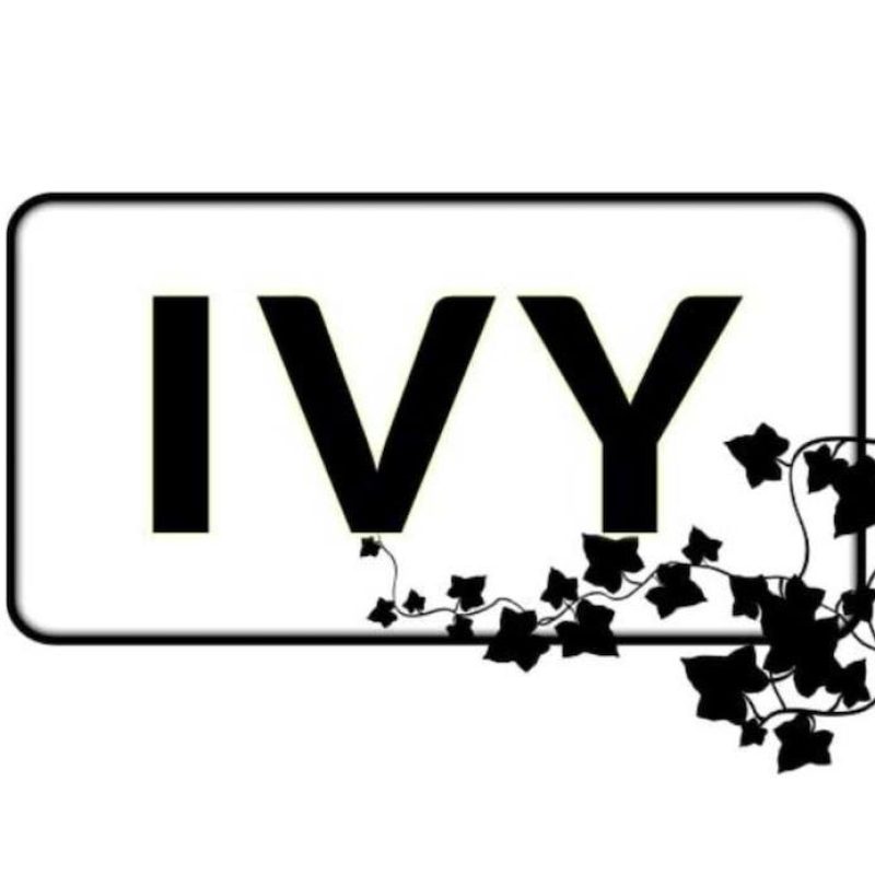 Ivy Bar & Bistro bar in houston texas